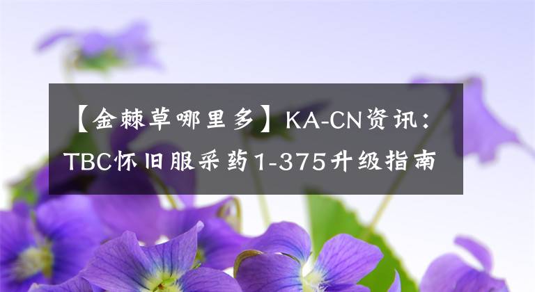 【金棘草哪里多】KA-CN资讯：TBC怀旧服采药1-375升级指南