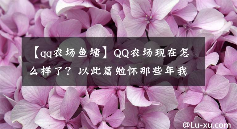 【qq农场鱼塘】QQ农场现在怎么样了？以此篇勉怀那些年我们疯狂过的偷菜岁月