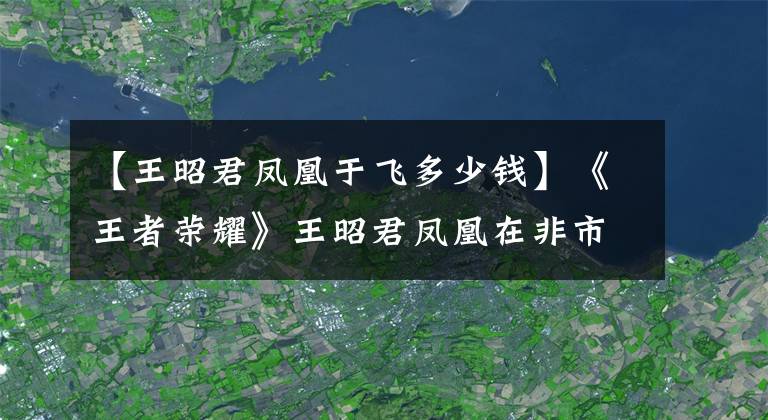 【王昭君凤凰于飞多少钱】《王者荣耀》王昭君凤凰在非市场手里安装货架