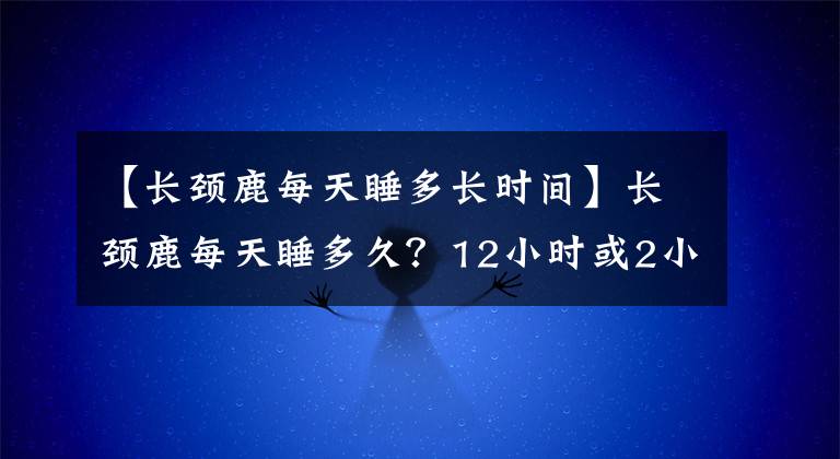 【长颈鹿每天睡多长时间】长颈鹿每天睡多久？12小时或2小时蚂蚁庄园11.5回答