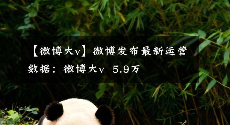 【微博大v】微博发布最新运营数据：微博大v  5.9万