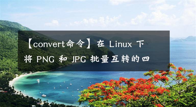 【convert命令】在 Linux 下将 PNG 和 JPG 批量互转的四种方法