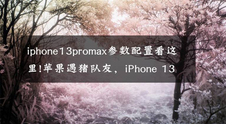 iphone13promax参数配置看这里!苹果遇猪队友，iPhone 13 Pro Max参数现身