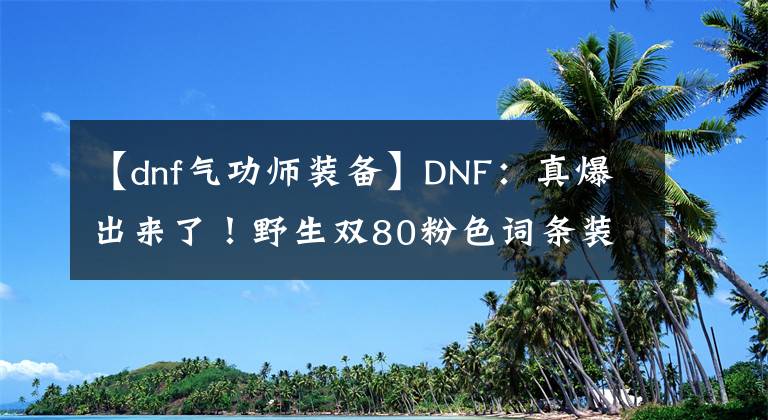 【dnf气功师装备】DNF：真爆出来了！野生双80粉色词条装备现身，旭旭宝宝欲哭无泪