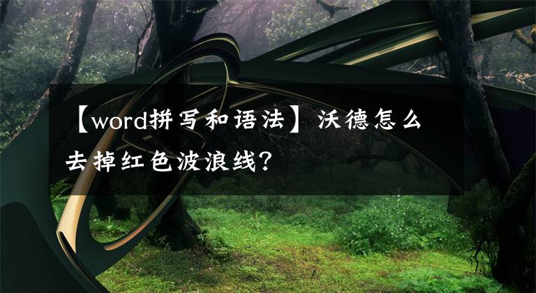 【word拼写和语法】沃德怎么去掉红色波浪线？