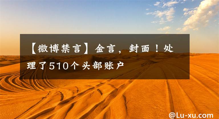 【微博禁言】金言，封面！处理了510个头部账户