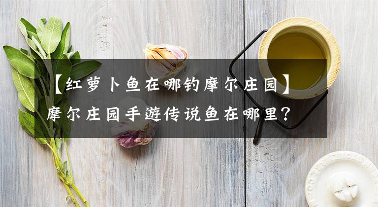 【红萝卜鱼在哪钓摩尔庄园】摩尔庄园手游传说鱼在哪里？我能在哪里钓到摩尔庄园(Moore Manor)？