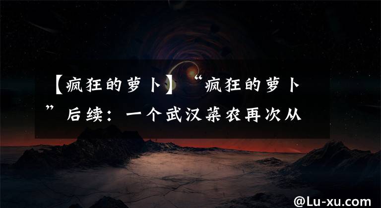 【疯狂的萝卜】“疯狂的萝卜”后续：一个武汉菜农再次从心酸到心宽