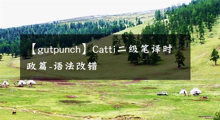 【gutpunch】Catti二级笔译时政篇-语法改错