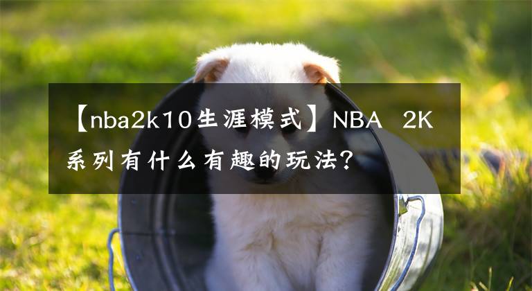 【nba2k10生涯模式】NBA  2K系列有什么有趣的玩法？
