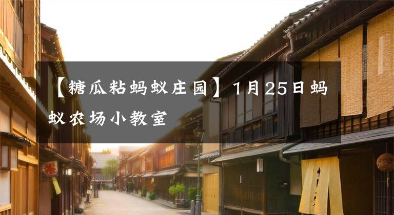 【糖瓜粘蚂蚁庄园】1月25日蚂蚁农场小教室