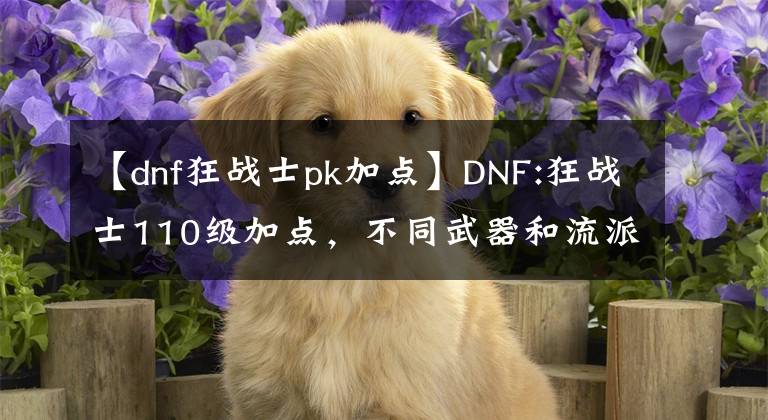 【dnf狂战士pk加点】DNF:狂战士110级加点，不同武器和流派加点略有不同