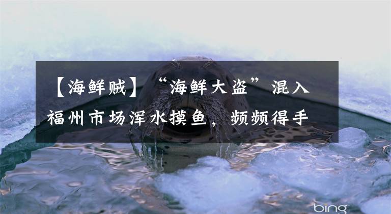 【海鲜贼】“海鲜大盗”混入福州市场浑水摸鱼，频频得手……