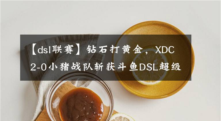 【dsl联赛】钻石打黄金，XDC 2-0小猪战队斩获斗鱼DSL超级联赛英雄联盟冠军