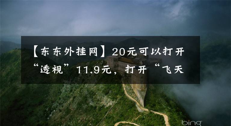 【东东外挂网】20元可以打开“透视”11.9元，打开“飞天”游戏插件的隐秘江湖。