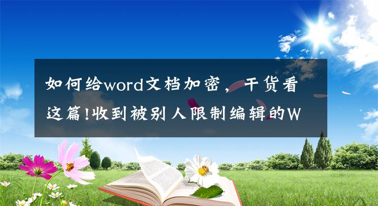 如何给word文档加密，干货看这篇!收到被别人限制编辑的Word文档怎么办？Office高手告诉你解密方法