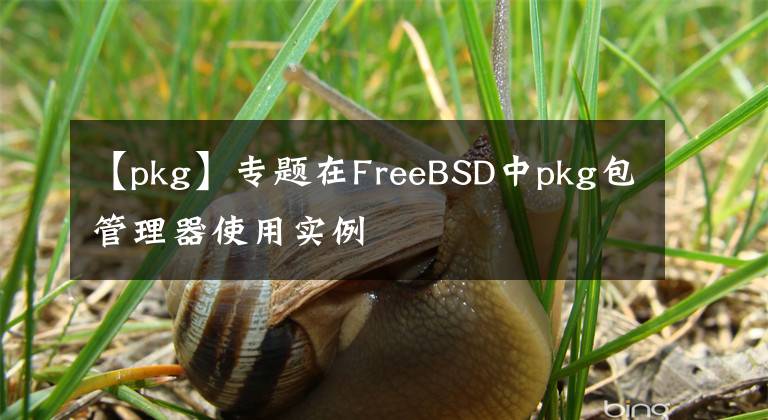 【pkg】专题在FreeBSD中pkg包管理器使用实例