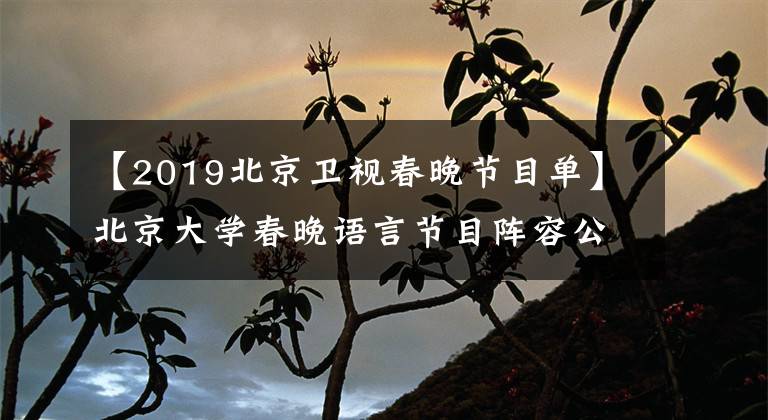 【2019北京卫视春晚节目单】北京大学春晚语言节目阵容公开了李雪琴搭档杨林。