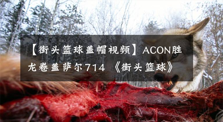 【街头篮球盖帽视频】ACON胜龙卷盖萨尔714 《街头篮球》 ADD大战2变3