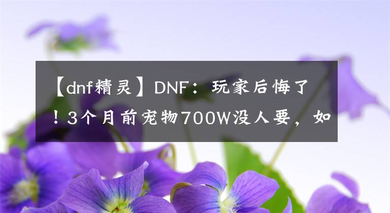 【dnf精灵】DNF：玩家后悔了！3个月前宠物700W没人要，如今拍卖行翻了5倍