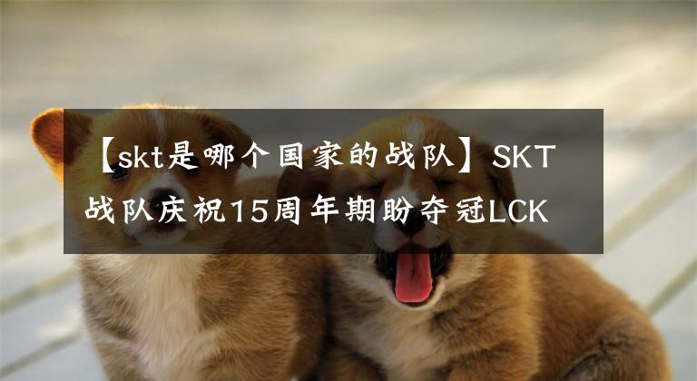 【skt是哪个国家的战队】SKT战队庆祝15周年期盼夺冠LCK
