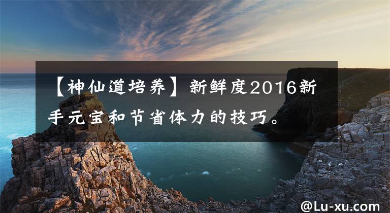 【神仙道培养】新鲜度2016新手元宝和节省体力的技巧。