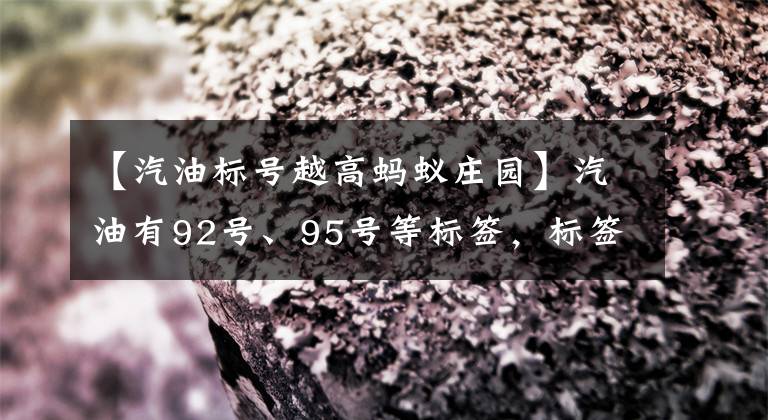 【汽油标号越高蚂蚁庄园】汽油有92号、95号等标签，标签越高说明汽油吗？蚂蚁庄园今天的回答