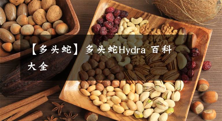 【多头蛇】多头蛇Hydra 百科大全