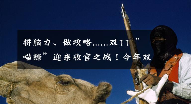 拼脑力、做攻略......双11“喵糖”迎来收官之战！今年双十一，你给平台“打工”了吗？