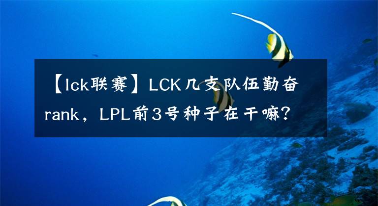 【lck联赛】LCK几支队伍勤奋rank，LPL前3号种子在干嘛？9位选手十多天不排位