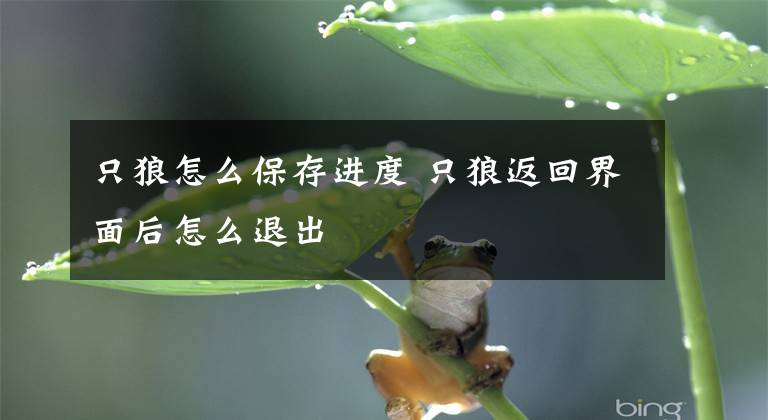 只狼怎么保存进度 只狼返回界面后怎么退出