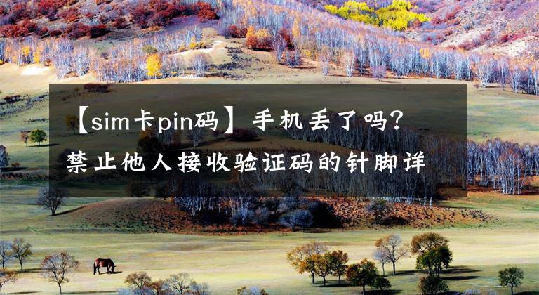 【sim卡pin码】手机丢了吗？禁止他人接收验证码的针脚详细说明