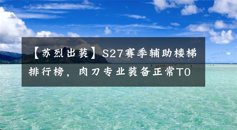 【苏烈出装】S27赛季辅助楼梯排行榜，肉刀专业装备正常T0，小热真香警告