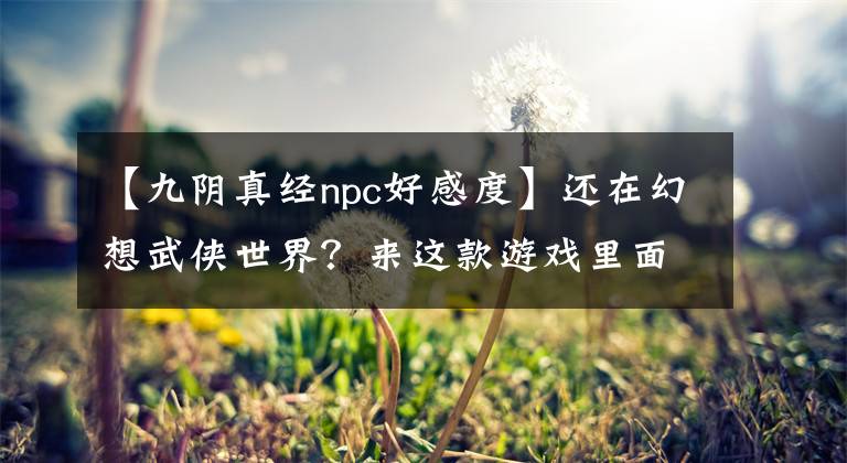 【九阴真经npc好感度】还在幻想武侠世界？来这款游戏里面，破除一切遗憾