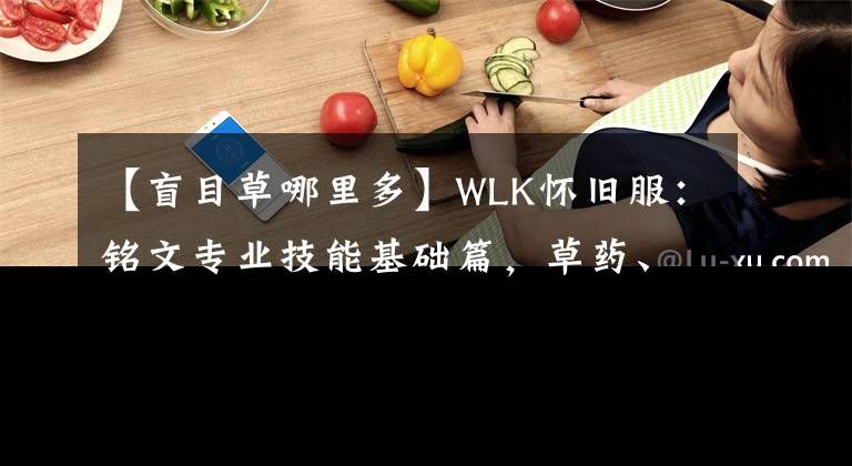 【盲目草哪里多】WLK怀旧服：铭文专业技能基础篇，草药、墨水之关系