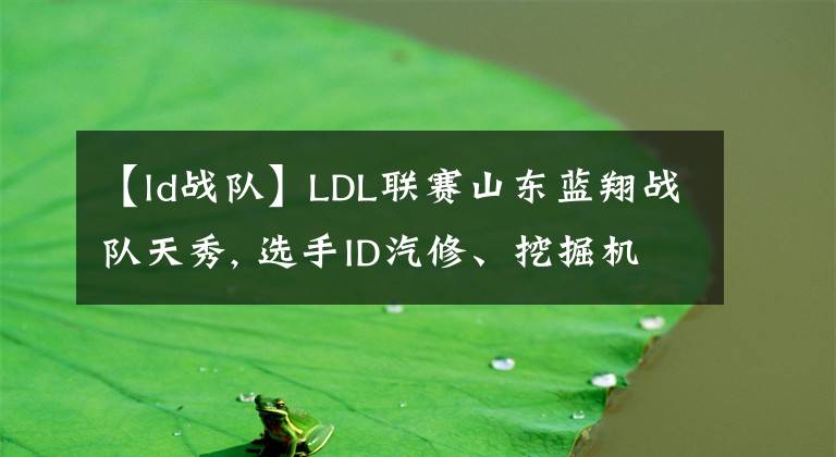 【ld战队】LDL联赛山东蓝翔战队天秀, 选手ID汽修、挖掘机、数控、美发?