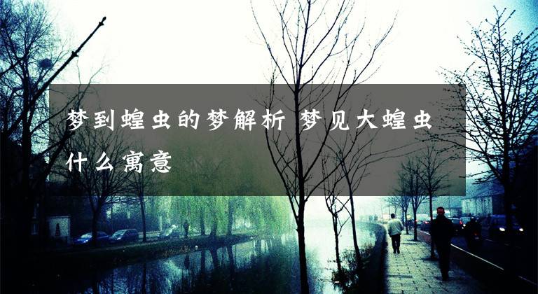 梦到蝗虫的梦解析 梦见大蝗虫什么寓意