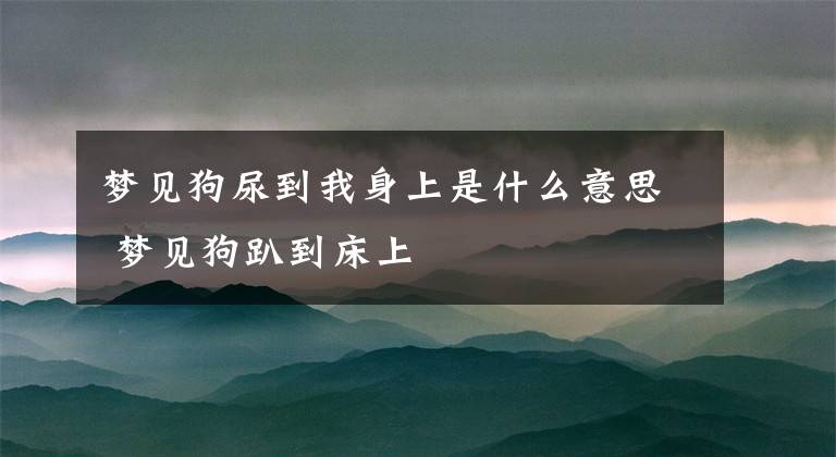 梦见狗尿到我身上是什么意思 梦见狗趴到床上文章配图