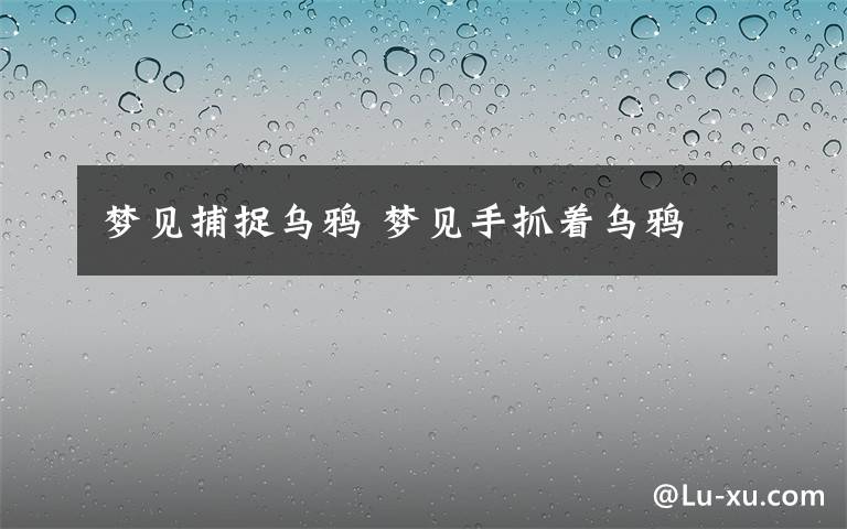 梦见捕捉乌鸦 梦见手抓着乌鸦