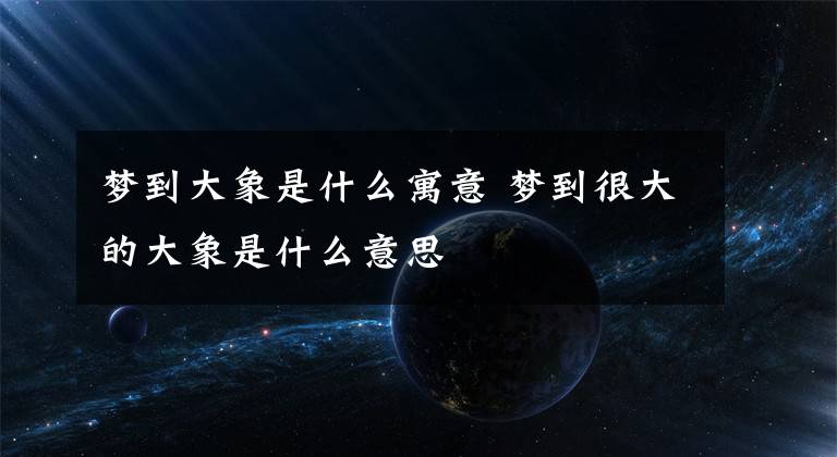 梦到大象是什么寓意 梦到很大的大象是什么意思