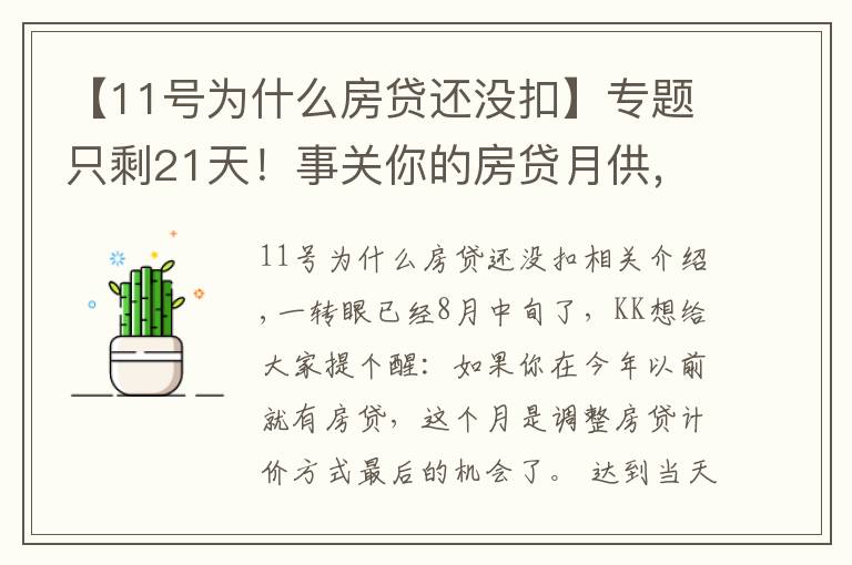 【11号为什么房贷还没扣】专题只剩21天！事关你的房贷月供，错过不再来