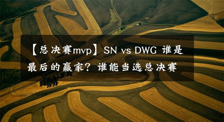【总决赛mvp】SN vs DWG 谁是最后的赢家？谁能当选总决赛MVP？