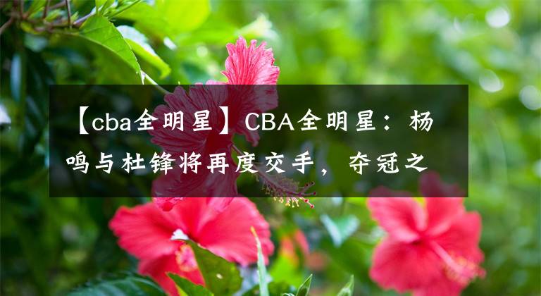 【cba全明星】CBA全明星：杨鸣与杜锋将再度交手，夺冠之战也将提前上演！