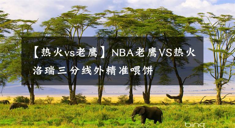 【热火vs老鹰】NBA老鹰VS热火 洛瑞三分线外精准喂饼