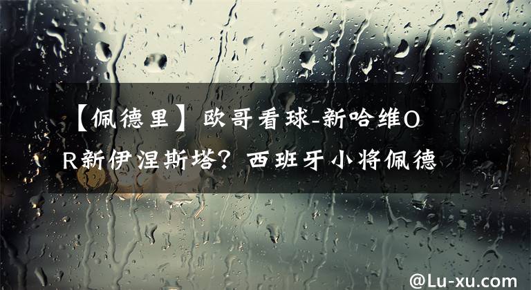 【佩德里】欧哥看球-新哈维OR新伊涅斯塔？西班牙小将佩德里锁定金童奖