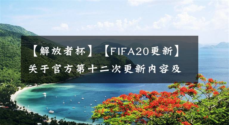 【解放者杯】【FIFA20更新】关于官方第十二次更新内容及部分补丁推送/南美解放者杯来袭