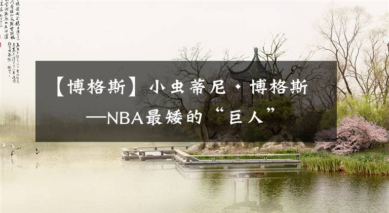 【博格斯】小虫蒂尼·博格斯——NBA最矮的“巨人”