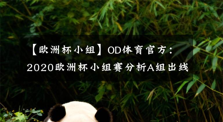 【欧洲杯小组】OD体育官方：2020欧洲杯小组赛分析A组出线形式