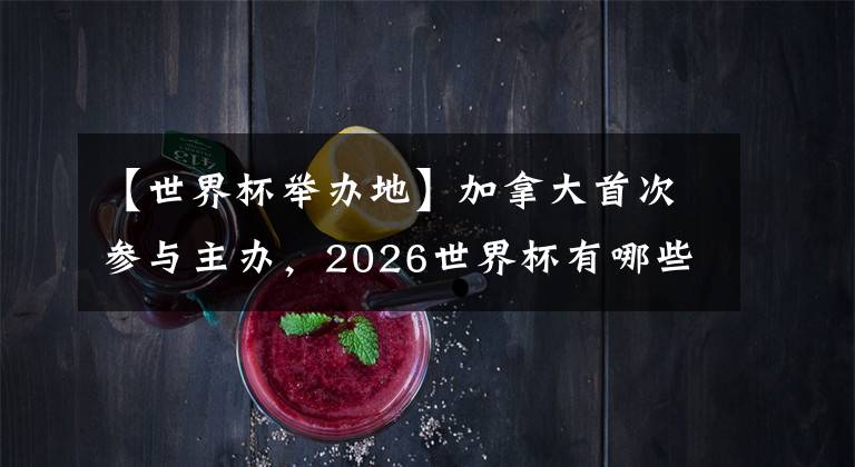 【世界杯举办地】加拿大首次参与主办，2026世界杯有哪些举办地？ (上)