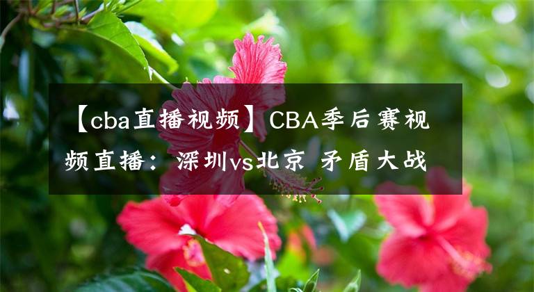 【cba直播视频】CBA季后赛视频直播：深圳vs北京 矛盾大战，谁将晋级会师广东队？